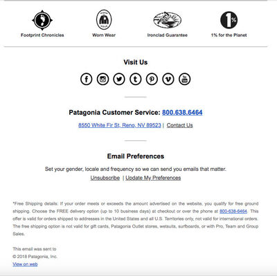 Screenshot of Patagonia email newsletter